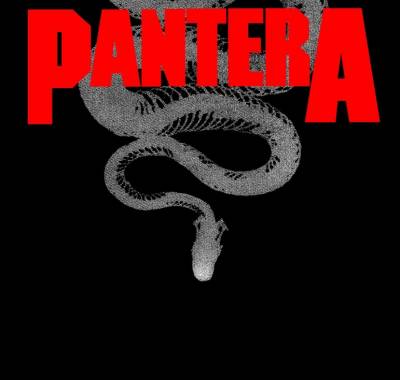 Biograhie de Pantera